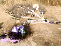 Command and Conquer 3: Tiberium Wars