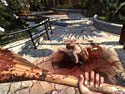 Dead Island