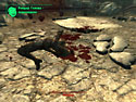 Fallout 3