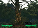 Fallout 3