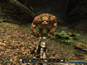 Gothic 3