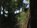 Hunter, The