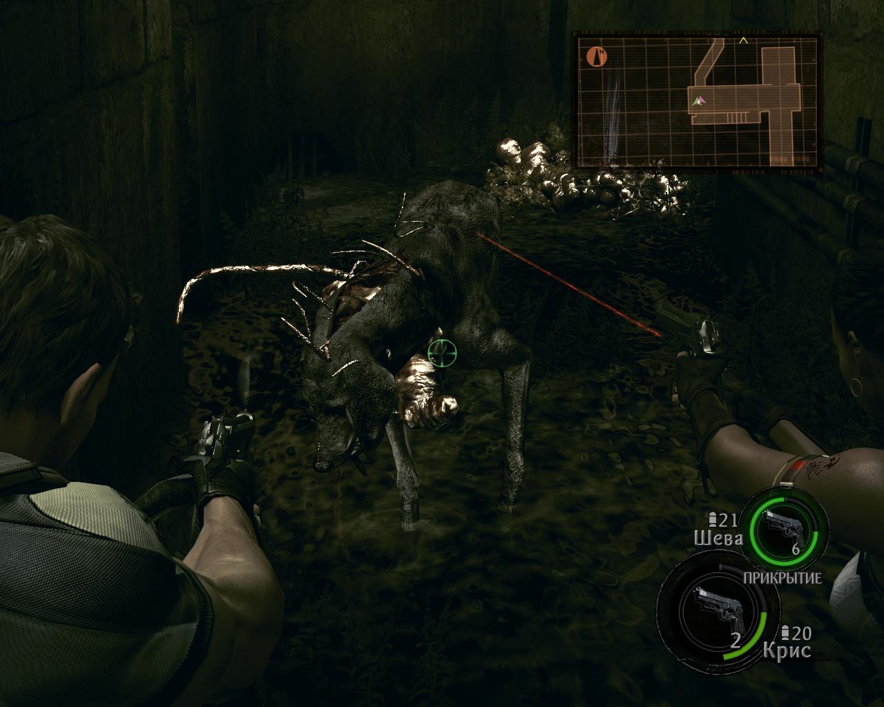 Resident Evil 5