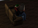 Sims 3, The