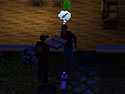 Sims 3, The