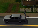Sims 3, The